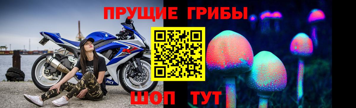 Галлюциногенные грибы прущие грибы Малгобек